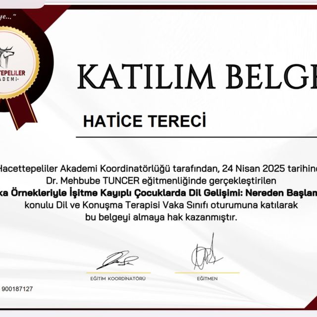 Resmi büyüt: certificate 4