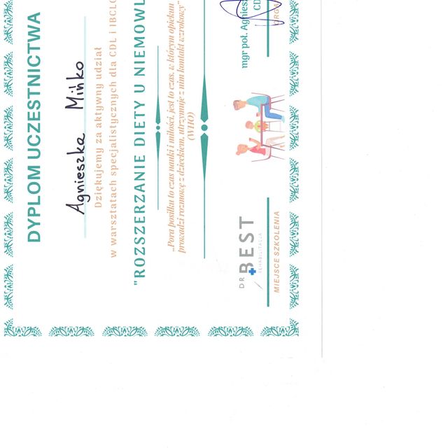 Powiększ obraz: certificate 1