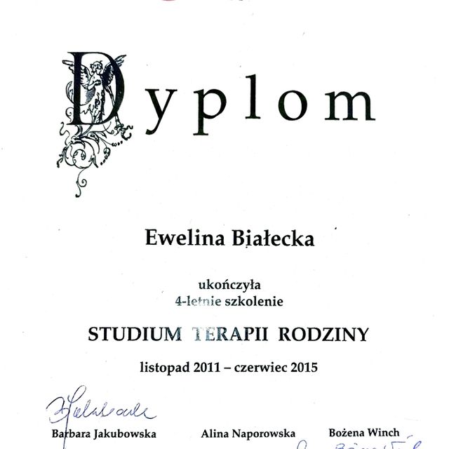 Powiększ obraz: certificate 1