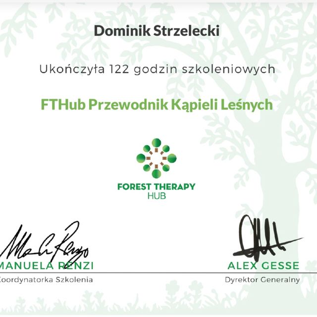 Powiększ obraz: certificate 2