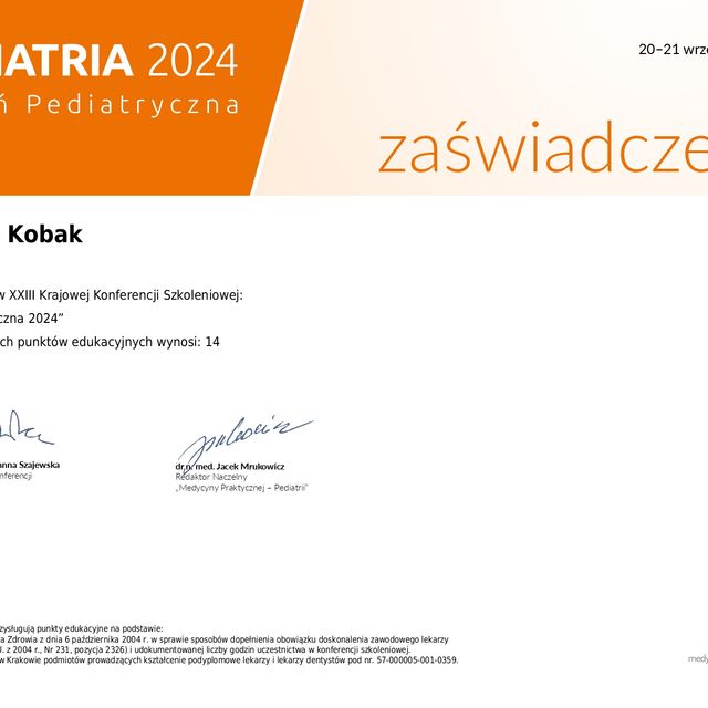 Powiększ obraz: certificate 2
