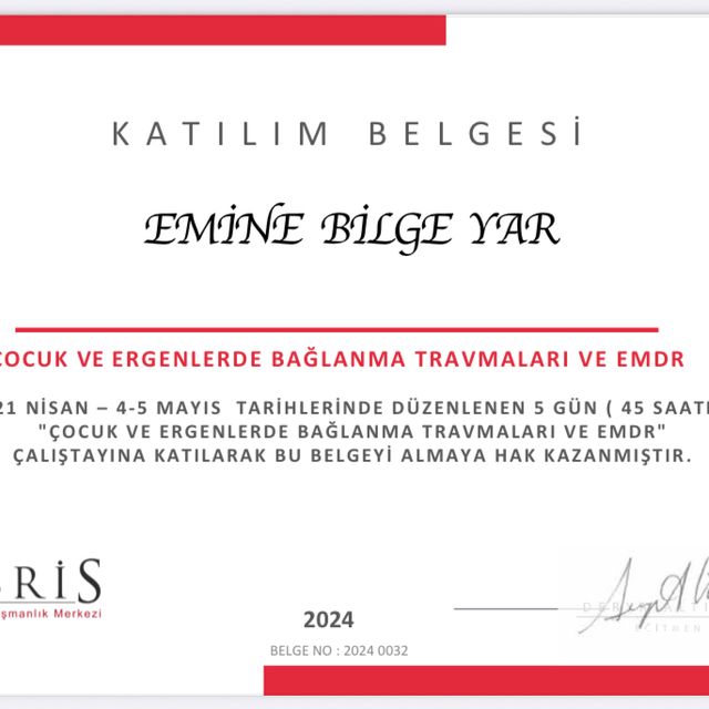 Resmi büyüt: certificate 1