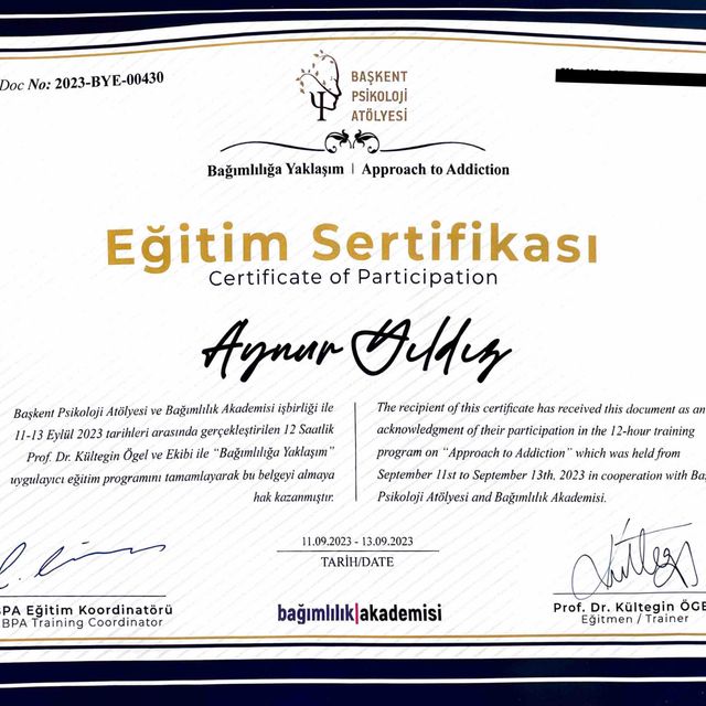 Resmi büyüt: certificate 41
