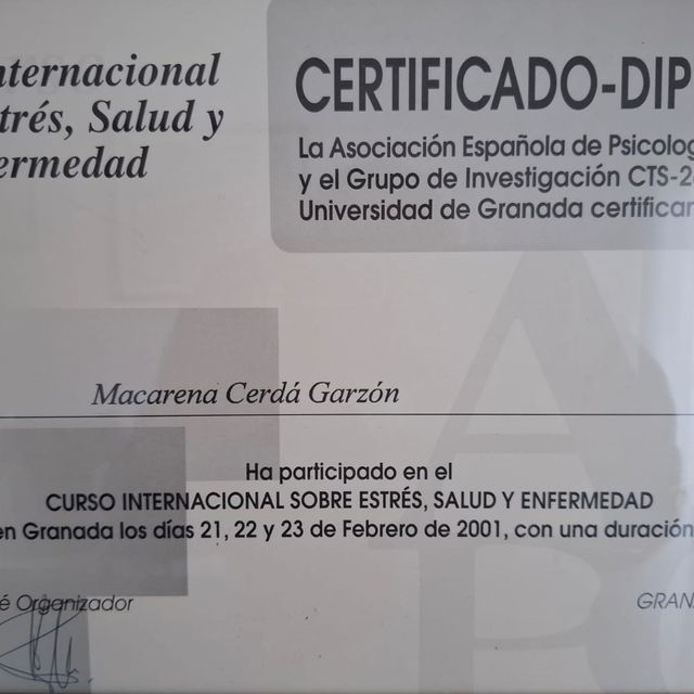 Acercar imagen: certificate 5