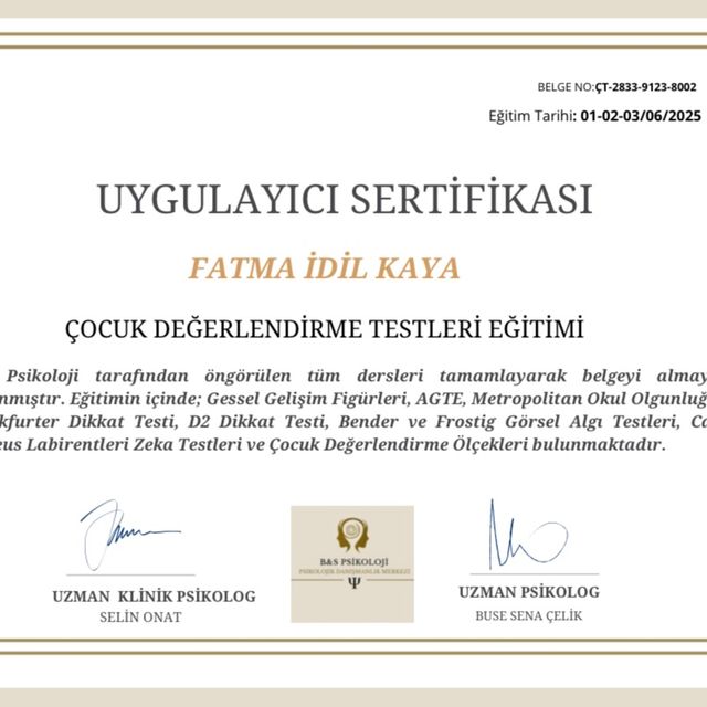 Resmi büyüt: certificate 4