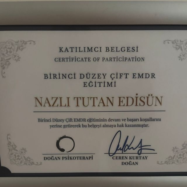 Resmi büyüt: certificate 15