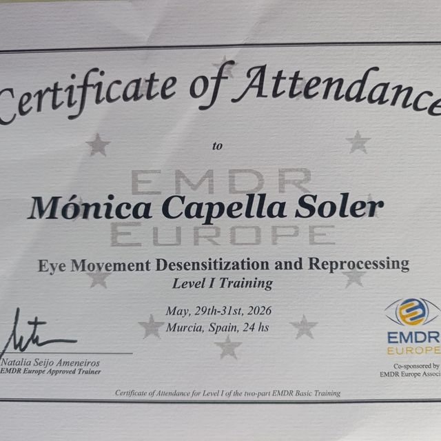 Acercar imagen: certificate 5