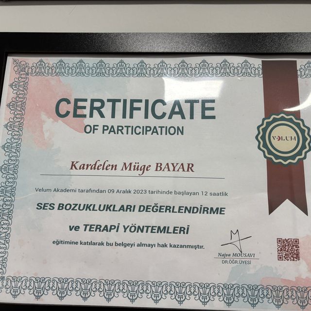 Resmi büyüt: certificate 2