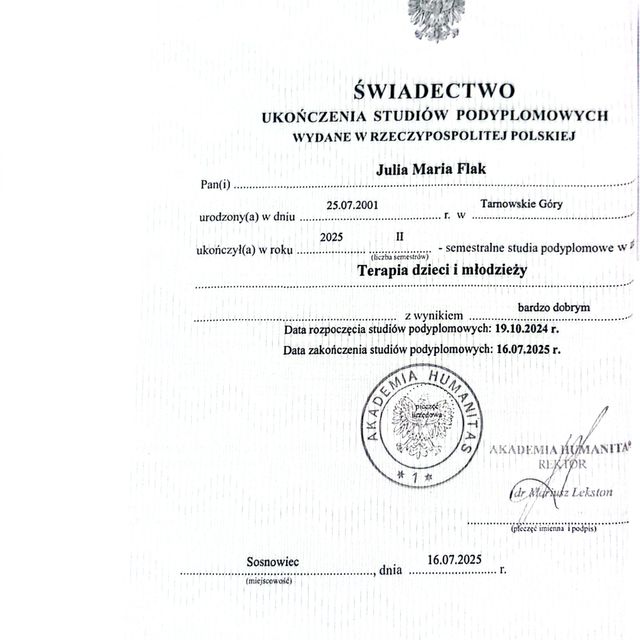 Powiększ obraz: certificate 1