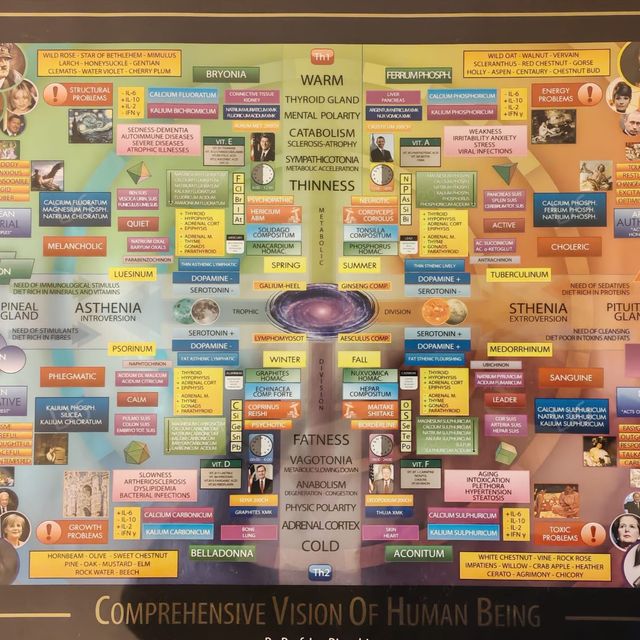 Ingrandire l'immagine: certificate 3