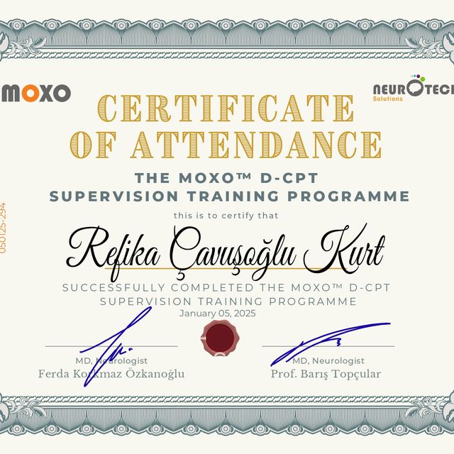 Resmi büyüt: certificate 2