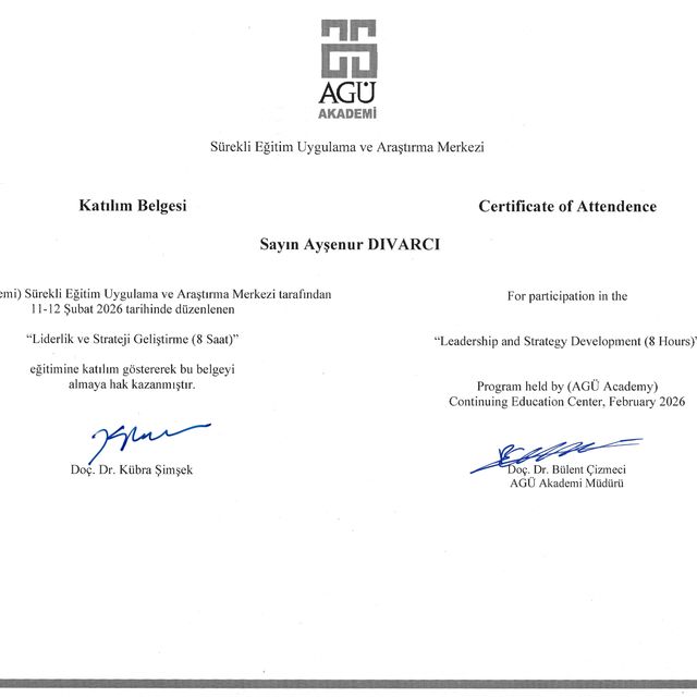 Resmi büyüt: certificate 4