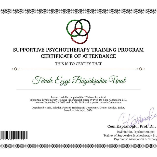 Resmi büyüt: certificate 1