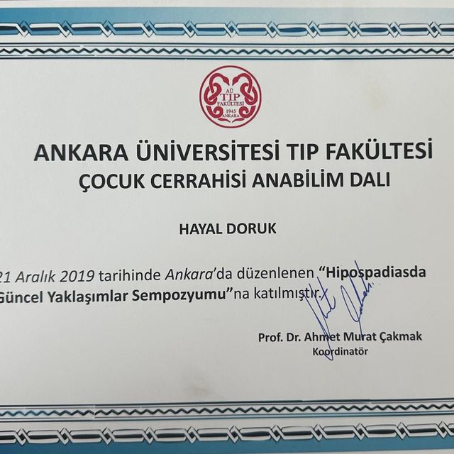 Resmi büyüt: certificate 7
