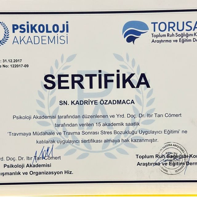Resmi büyüt: certificate 30