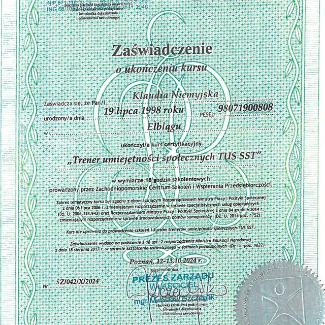 Powiększ obraz: certificate 1