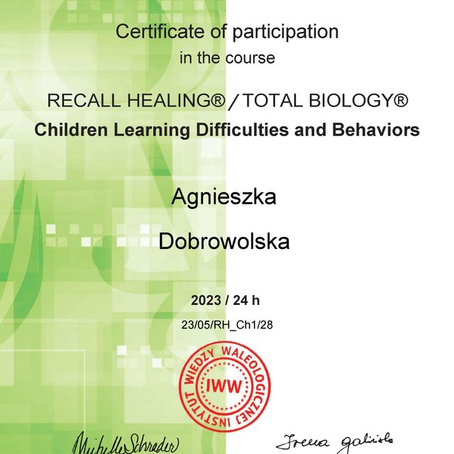 Powiększ obraz: certificate 4