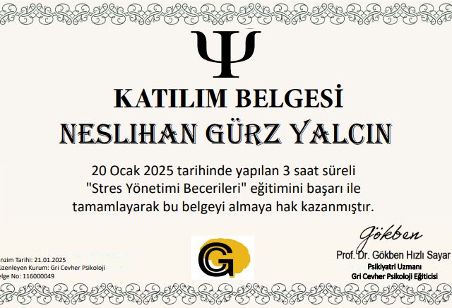 Resmi büyüt: certificate 9