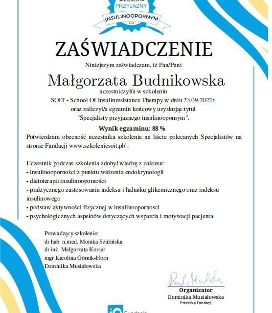 Powiększ obraz: certificate 2