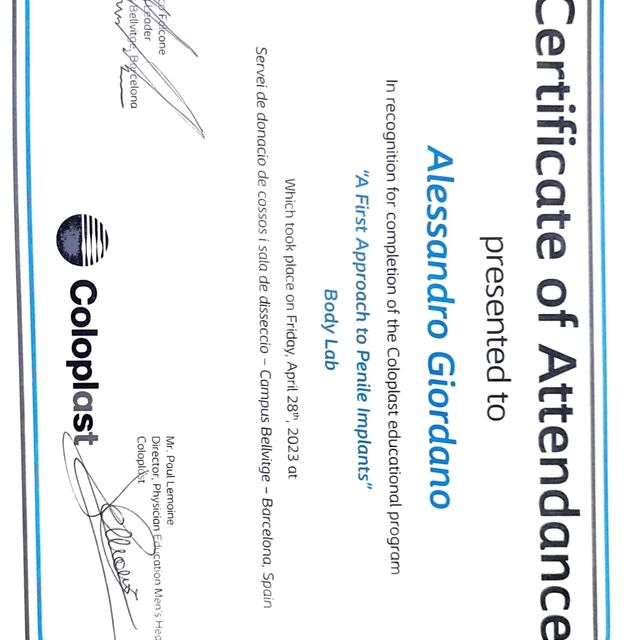 Ingrandire l'immagine: certificate 4