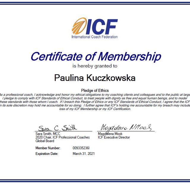 Powiększ obraz: certificate 7