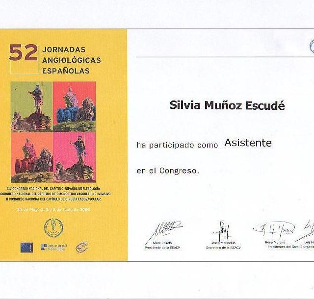 Acercar imagen: certificate 26