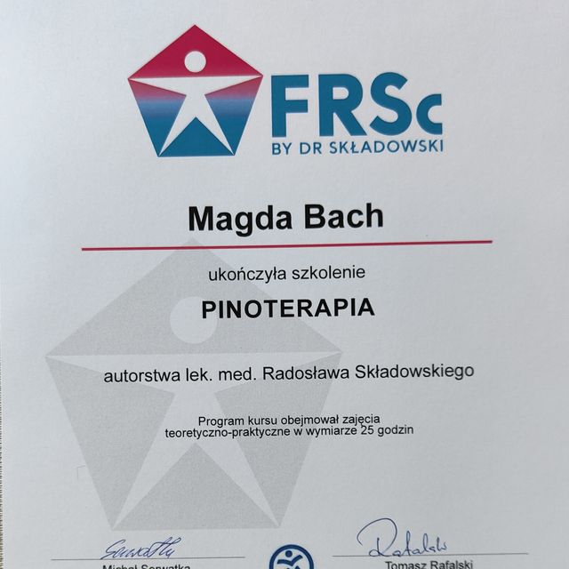 Powiększ obraz: certificate 7