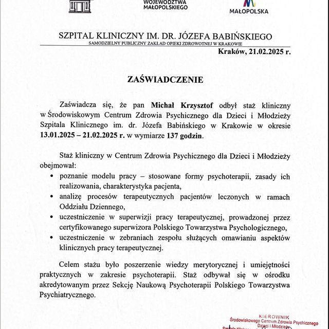 Powiększ obraz: certificate 3
