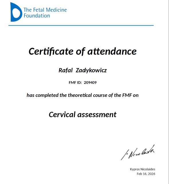 Powiększ obraz: certificate 7