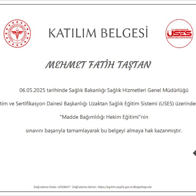 Resmi büyüt: certificate 2