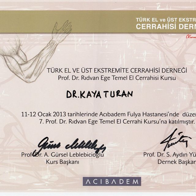 Resmi büyüt: certificate 13