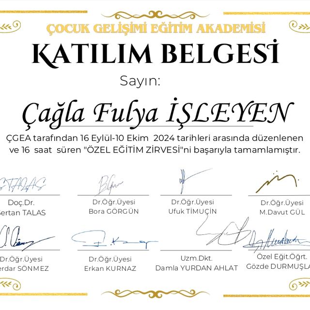 Resmi büyüt: certificate 8