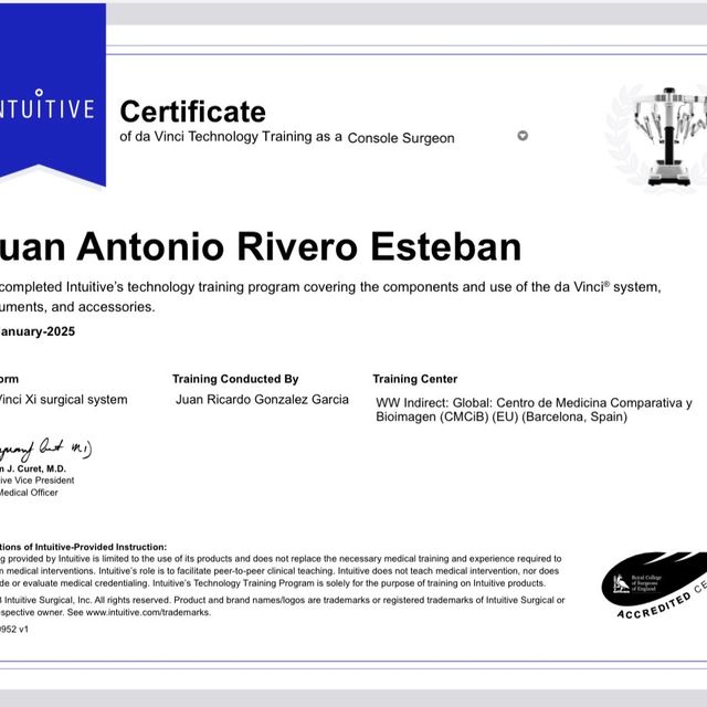 Acercar imagen: certificate 4