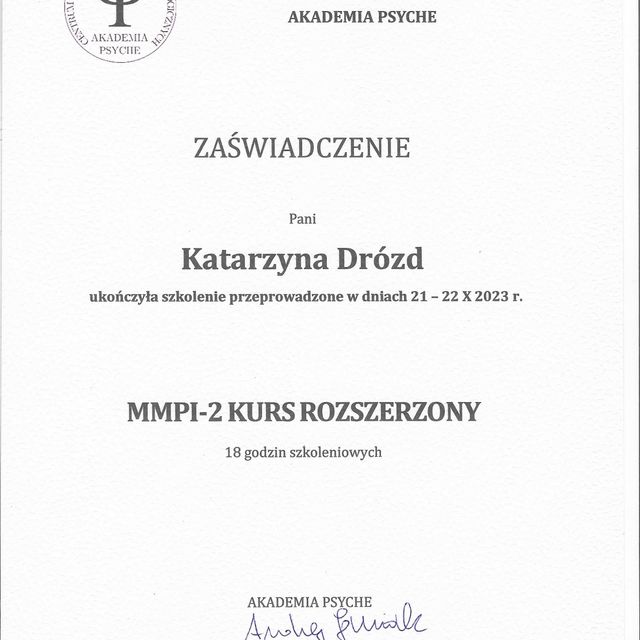 Powiększ obraz: certificate 1