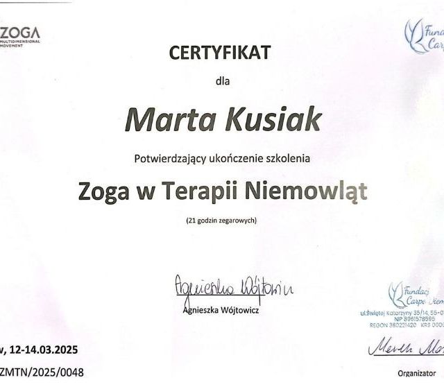 Powiększ obraz: certificate 7