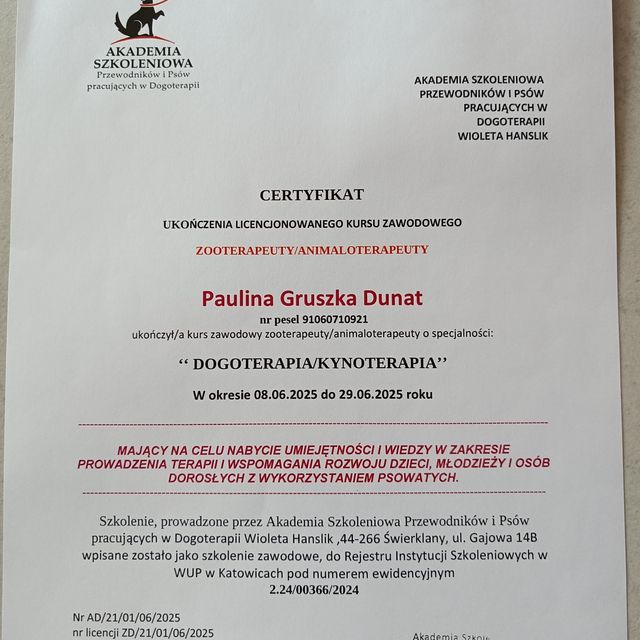 Powiększ obraz: certificate 8