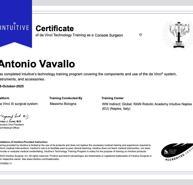 Ingrandire l'immagine: certificate 24