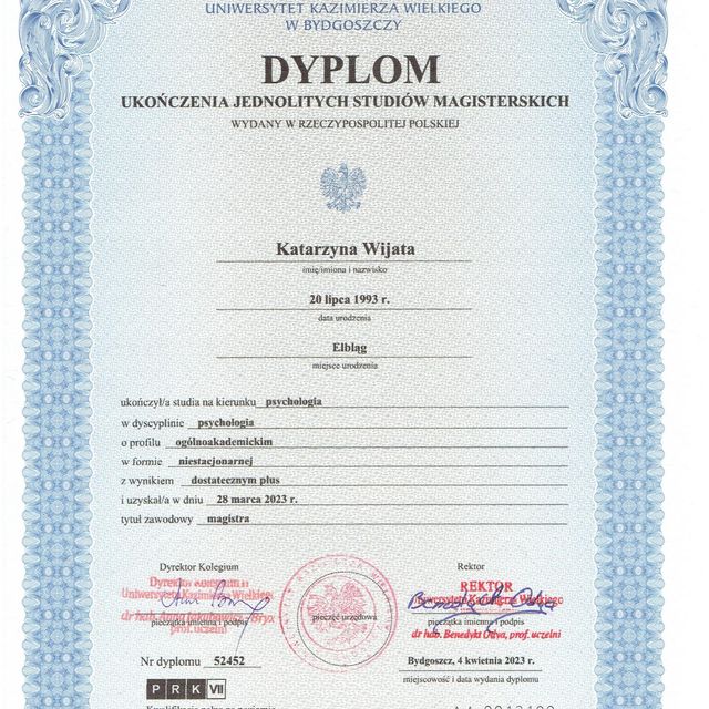 Powiększ obraz: certificate 1