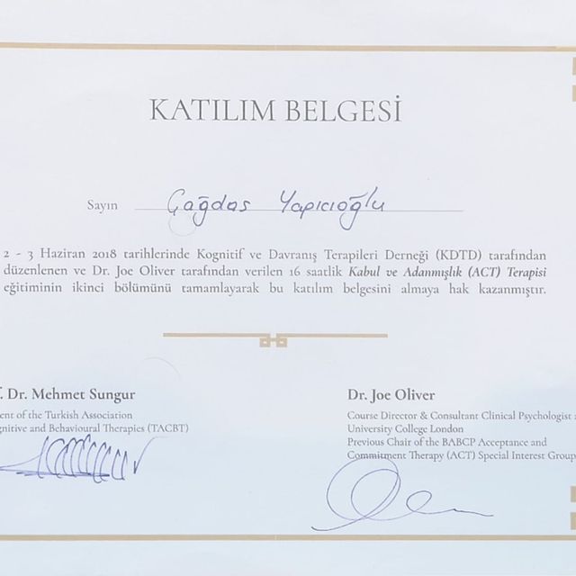 Resmi büyüt: certificate 7