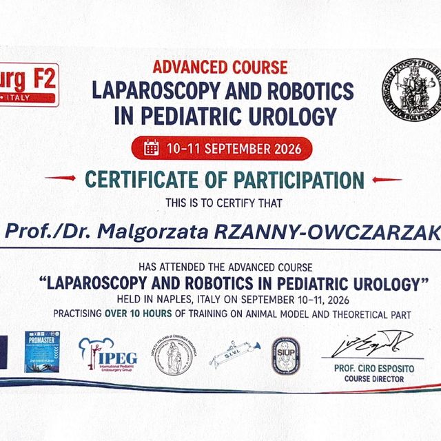 Powiększ obraz: certificate 1