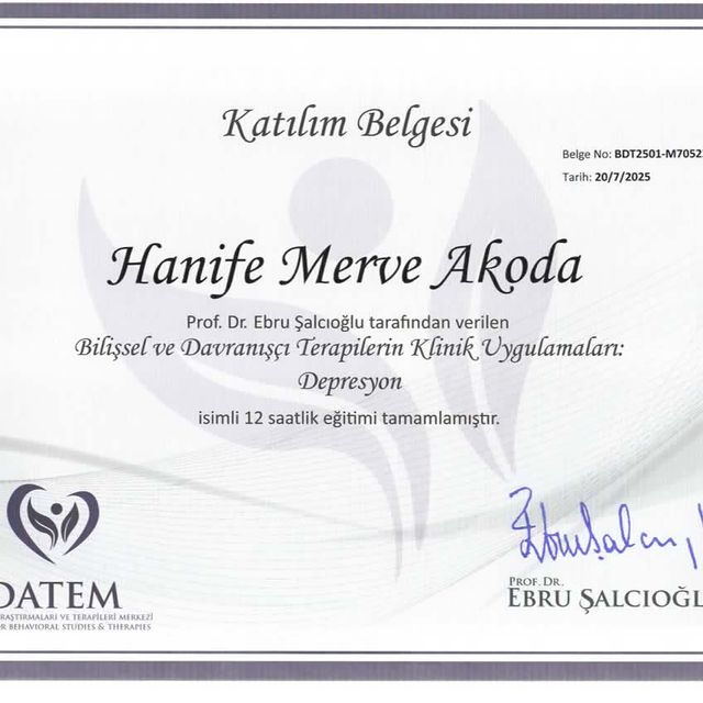 Resmi büyüt: certificate 15
