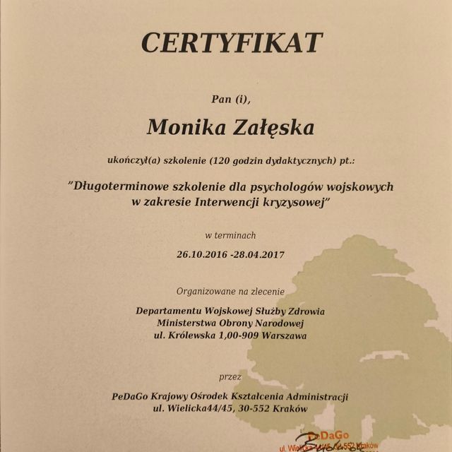 Powiększ obraz: certificate 11