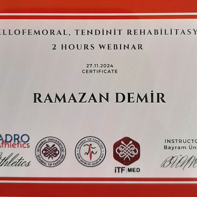 Resmi büyüt: certificate 43