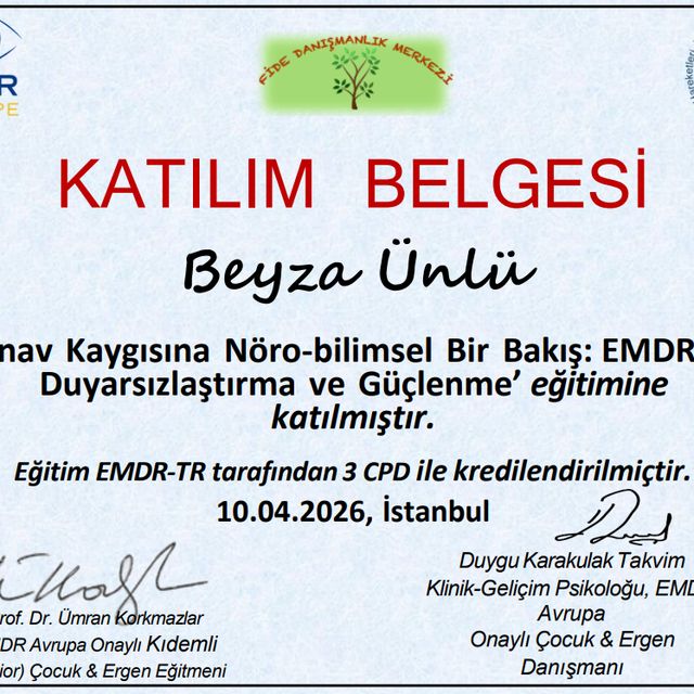 Resmi büyüt: certificate 8