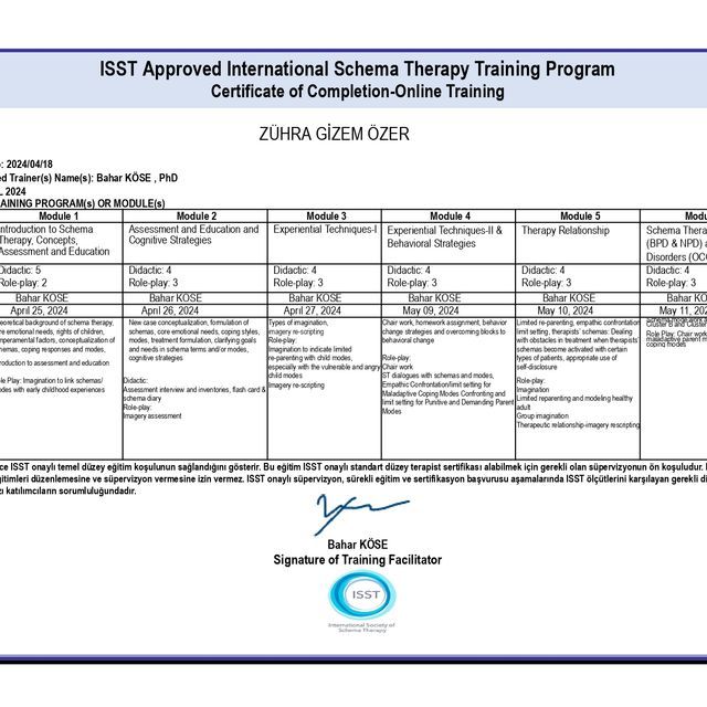 Resmi büyüt: certificate 1
