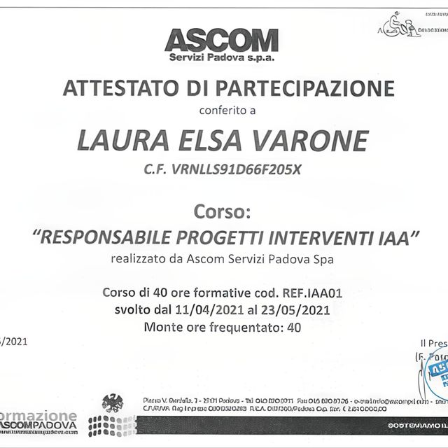 Ingrandire l'immagine: certificate 1