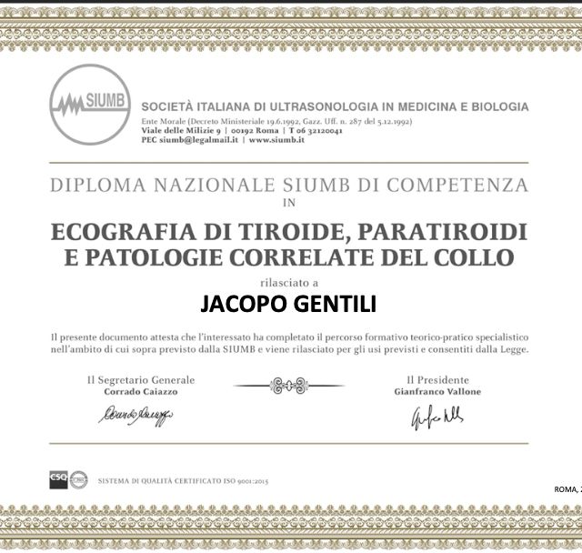 Ingrandire l'immagine: certificate 1