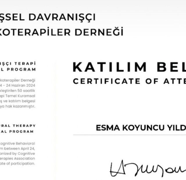 Resmi büyüt: certificate 8