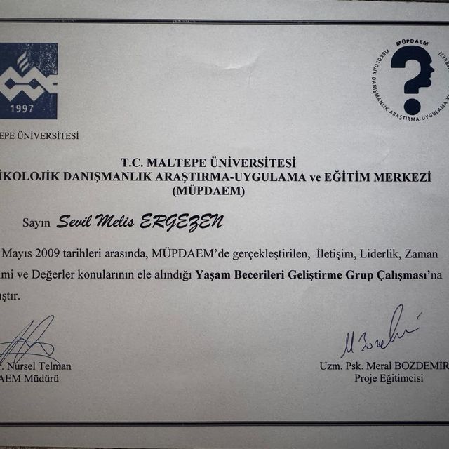 Resmi büyüt: certificate 4