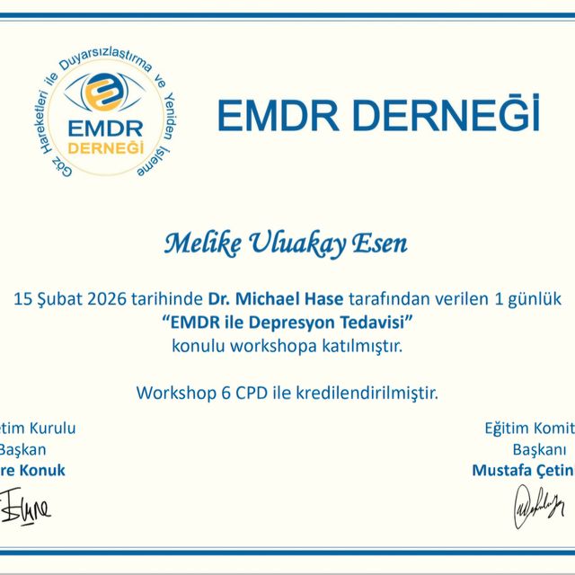 Resmi büyüt: certificate 38